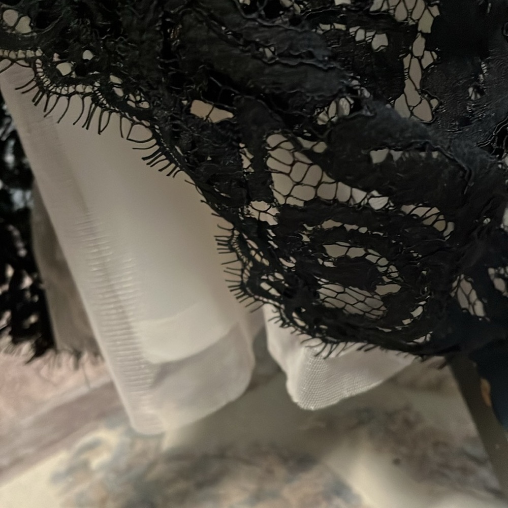 Tadashi Shoji Chantilly Lace Gown - Picture 10 of 15